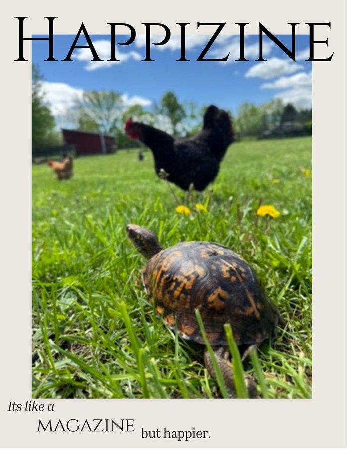 Hudson Valley Happizine subscription — featuring Issue 01 cover with chicken and turtle